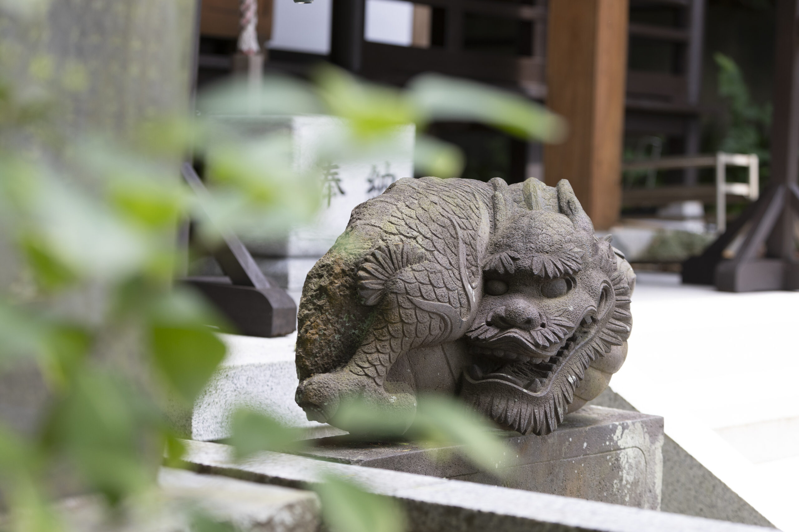 龍口寺の龍